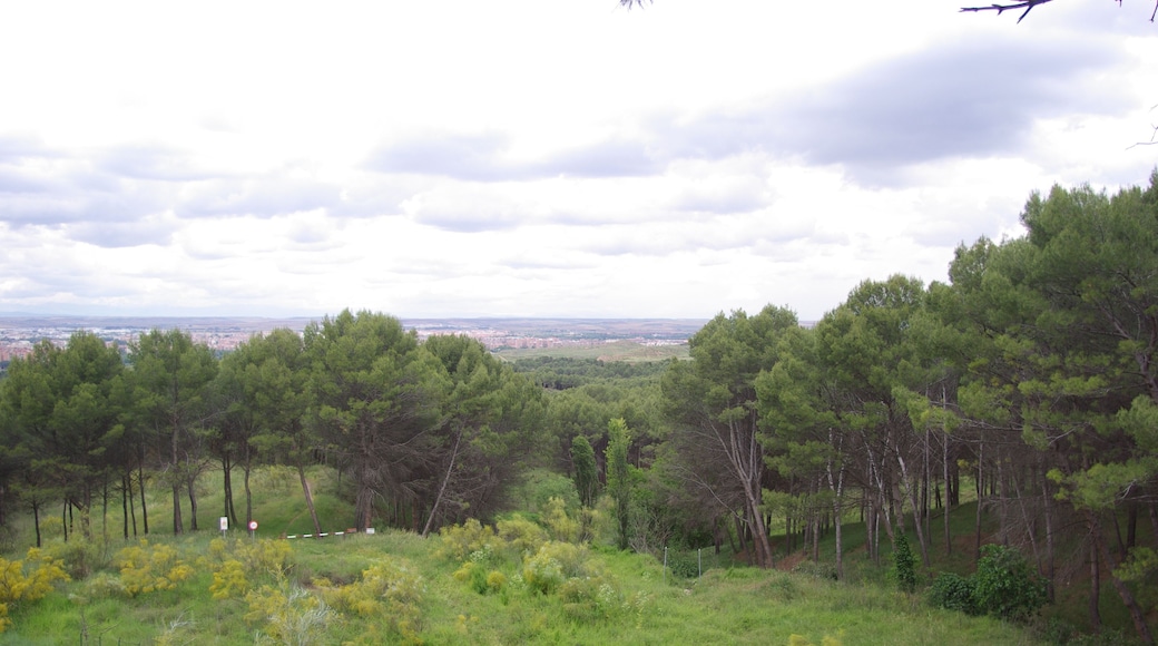 ® ALCALA DE HENARES JARDIN SOBRE EL RIO HENARES