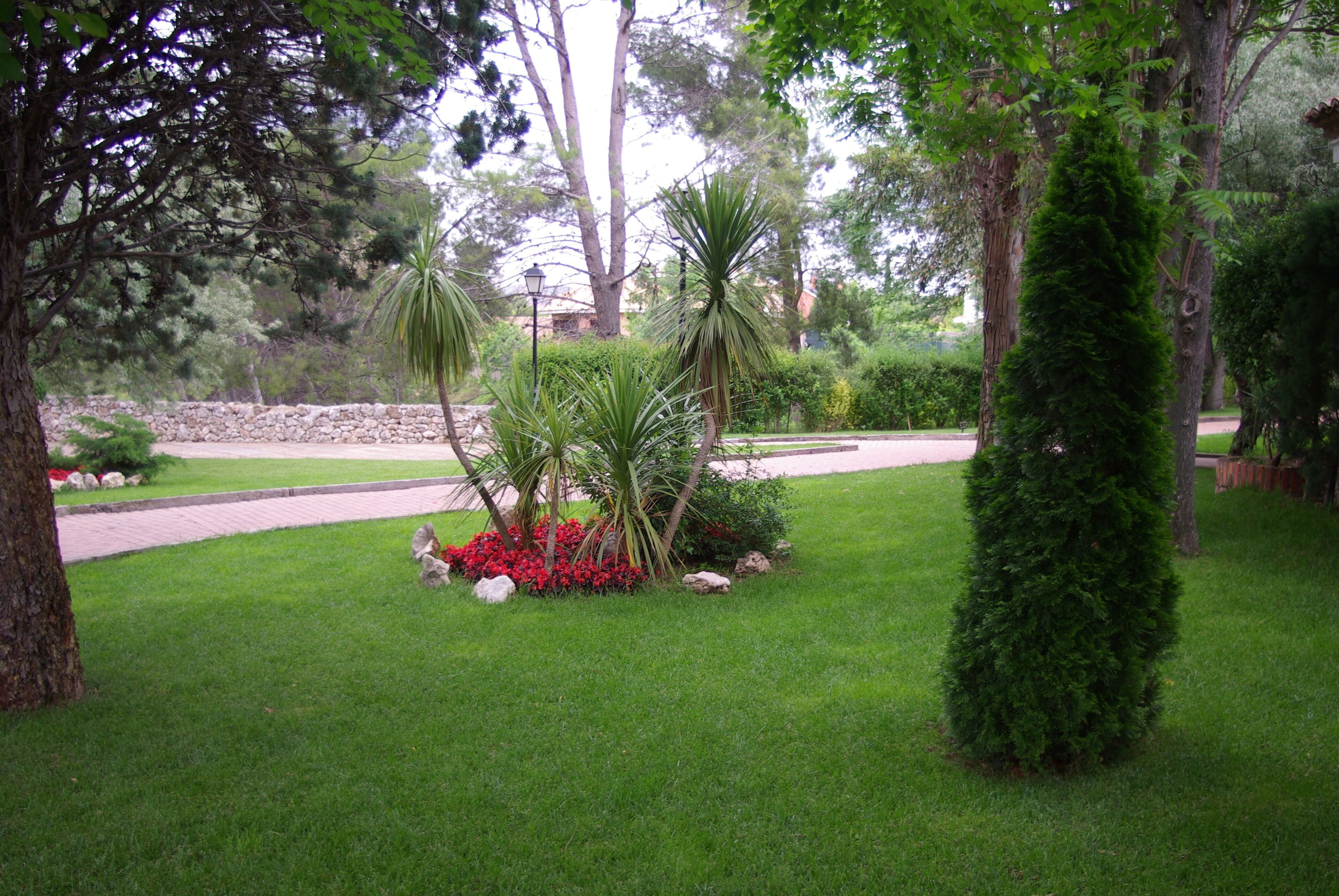 ® ALCALA DE HENARES JARDIN SOBRE EL RIO HENARES