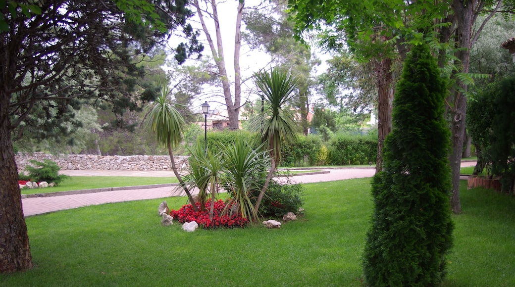 ® ALCALA DE HENARES JARDIN SOBRE EL RIO HENARES