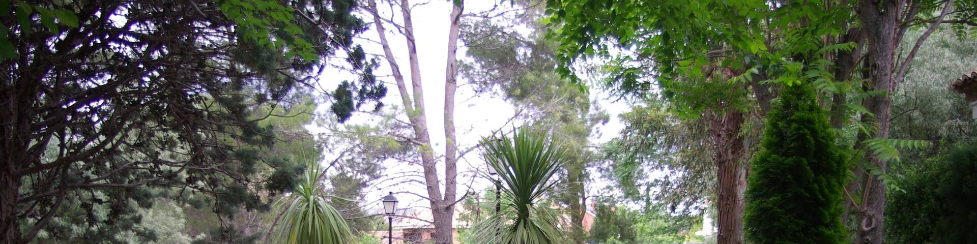 ® ALCALA DE HENARES JARDIN SOBRE EL RIO HENARES