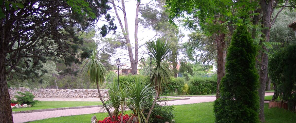 A well-maintained garden with a variety of trees, a stone wall, and a paved path.