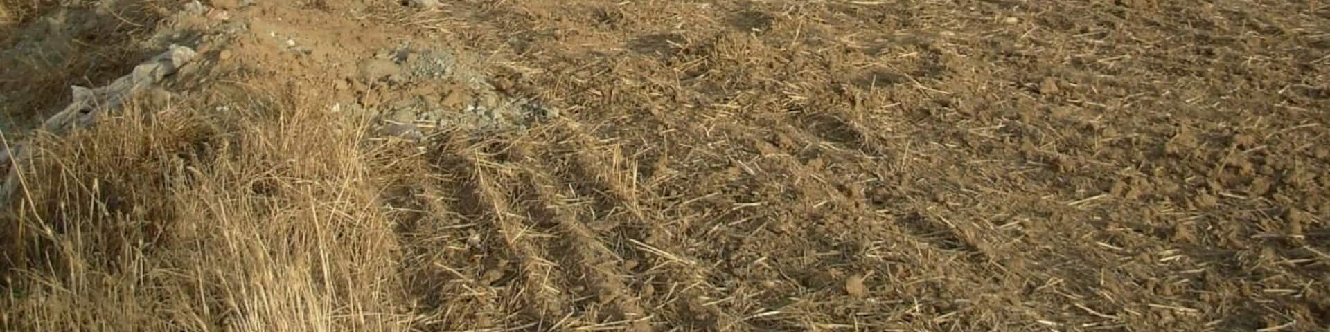 Vereda de los Ladrones