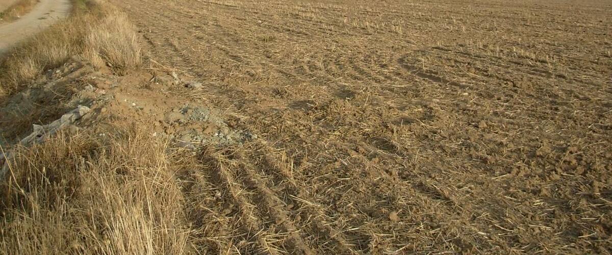 A dry, plowed field with a tall communication tower in the distance.