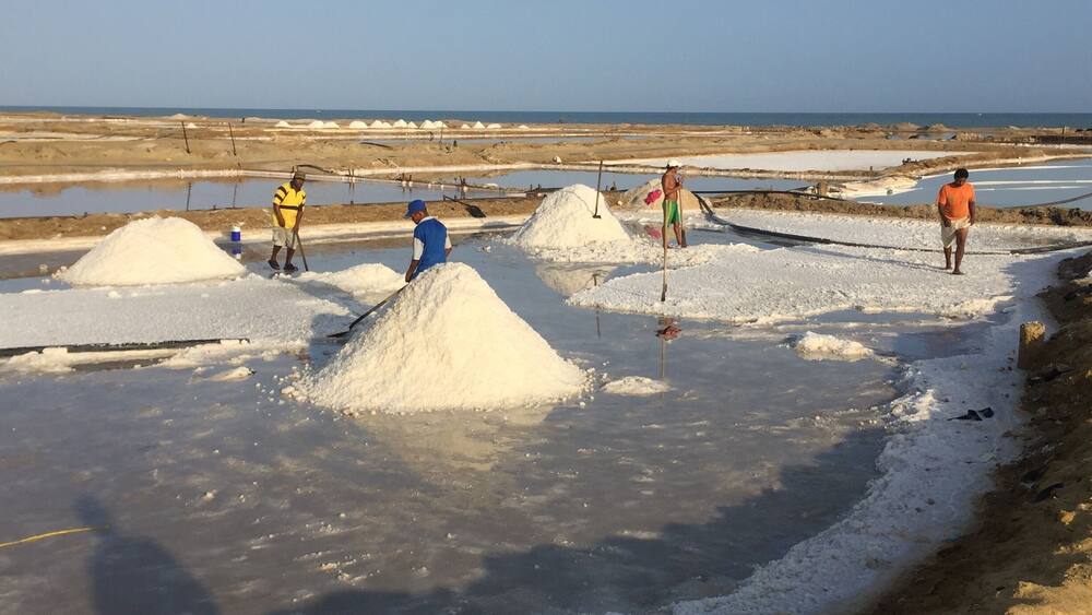 People collect the mineral in the salt ponds of Manaure, up early to avoid the heat. The landscape in this area, measuring 4,200 hectares, is covered by salt hills reflected in water wells.