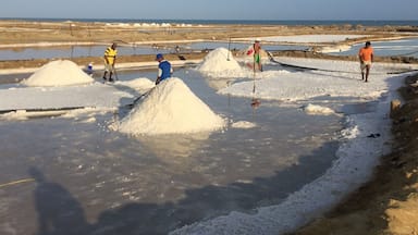 People collect the mineral in the salt ponds of Manaure, up early to avoid the heat. The landscape in this area, measuring 4,200 hectares, is covered by salt hills reflected in water wells.