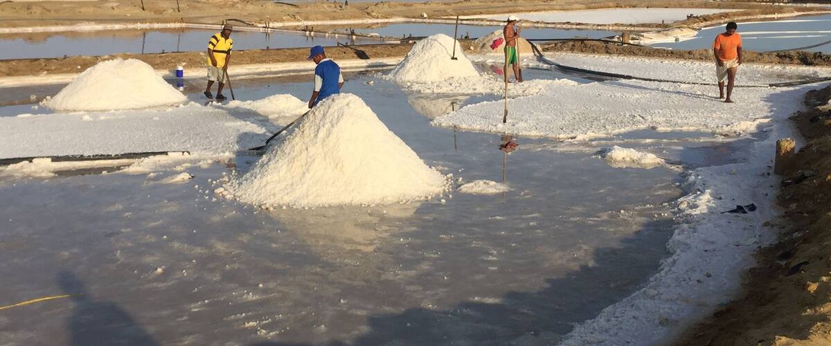 A salt flat with large piles of salt and workers in the background.