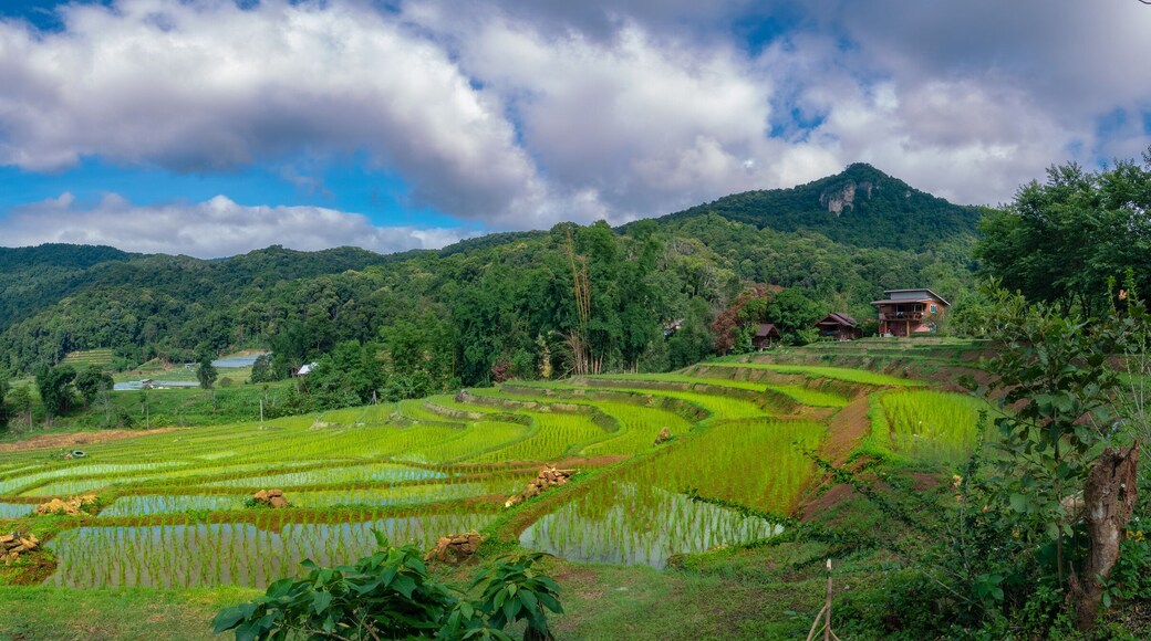 Panoramic rice terraces at mae klang luang, inthanon mountain. Chiang mai, Thailand. Scenery view of rice field, mountain and cloud sky