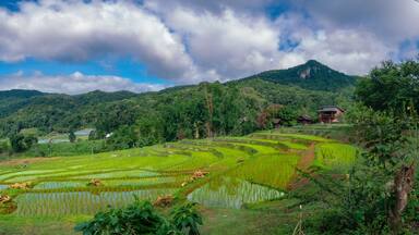 Panoramic rice terraces at mae klang luang, inthanon mountain. Chiang mai, Thailand. Scenery view of rice field, mountain and cloud sky