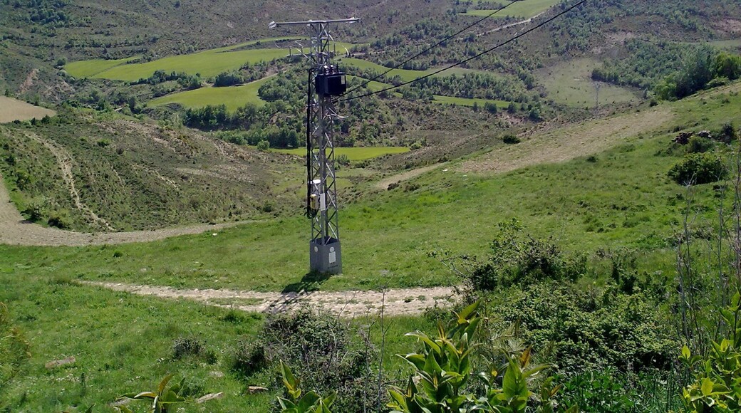 Pintano le 23 mai 2010.