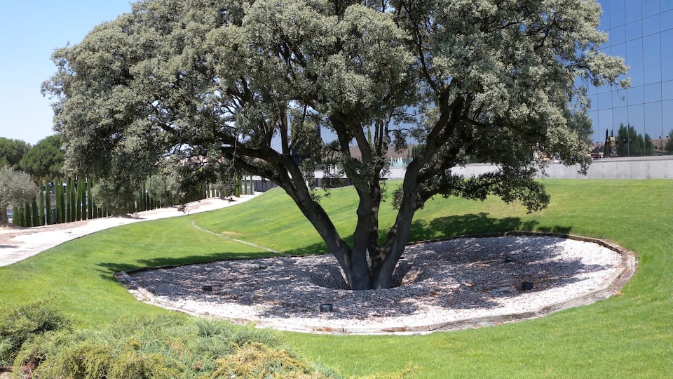 28223 Somosaguas, Madrid, Spain