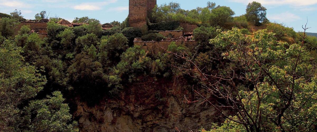 A tall, ancient stone tower on a hill surrounded by dense greenery.