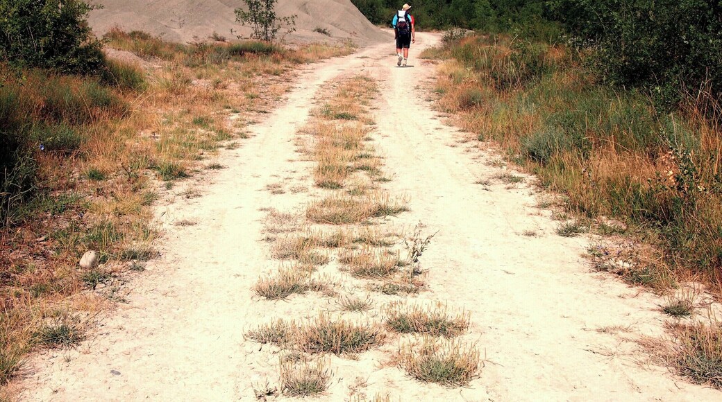Trailing in the Spanish countryside on our way to Ruesta.
#caminodesantiago
DAY 3 - RUESTA http://www.endoftherainbow.net/blogita/giorno5km53ruesta