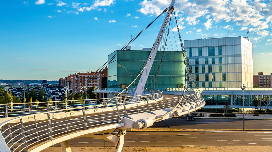 Suspension pedestrian bridge at Zaragoza-Delicias station, Spain; Shutterstock ID 525761836