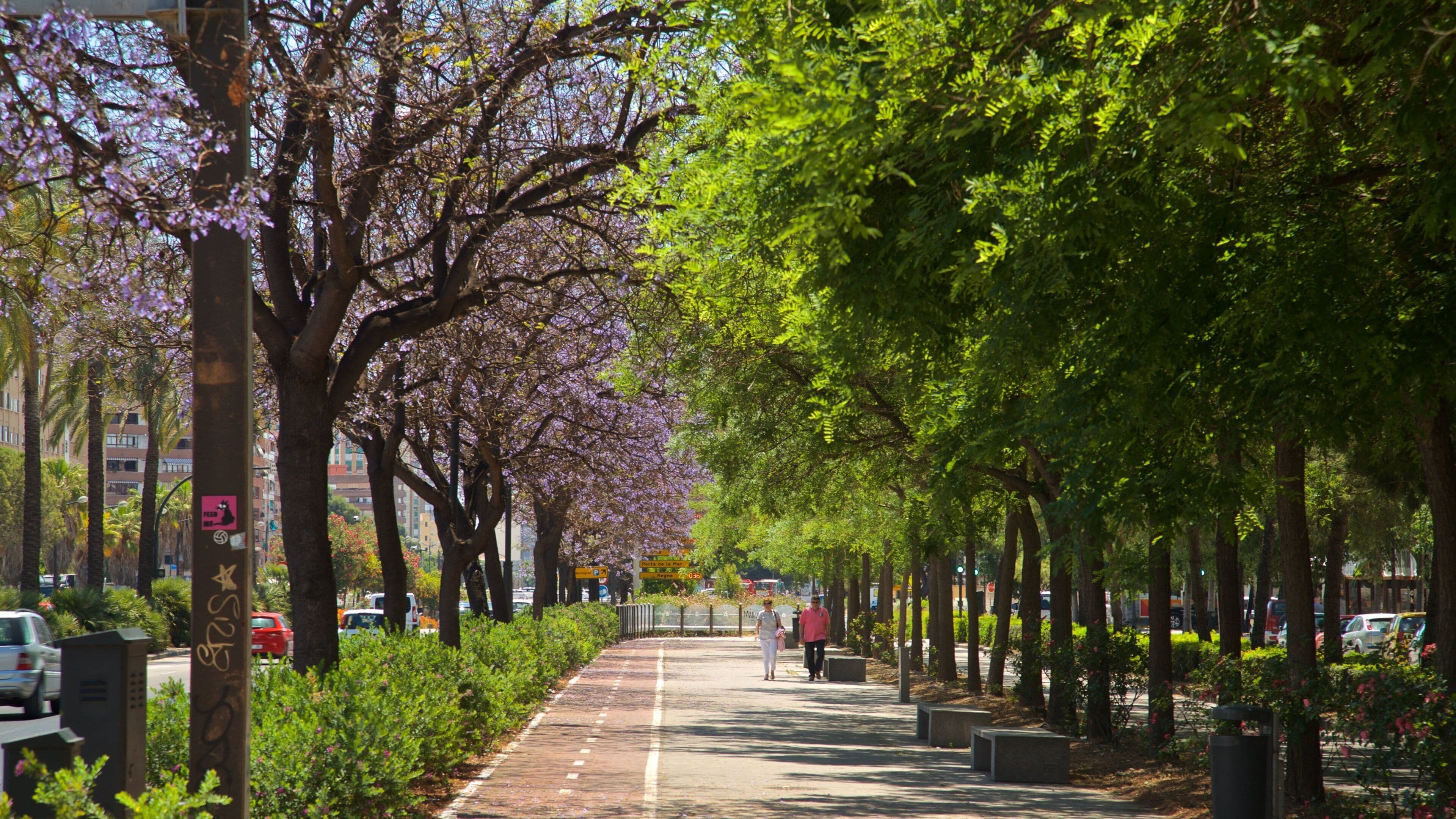 Una calle urbana arbolada con coches aparcados y peatones.