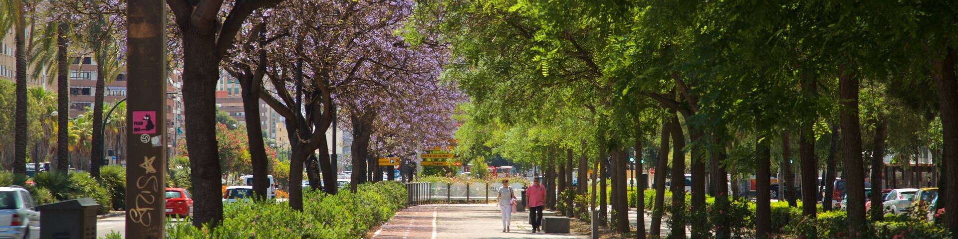 A tree-lined urban street with parked cars and pedestrians.