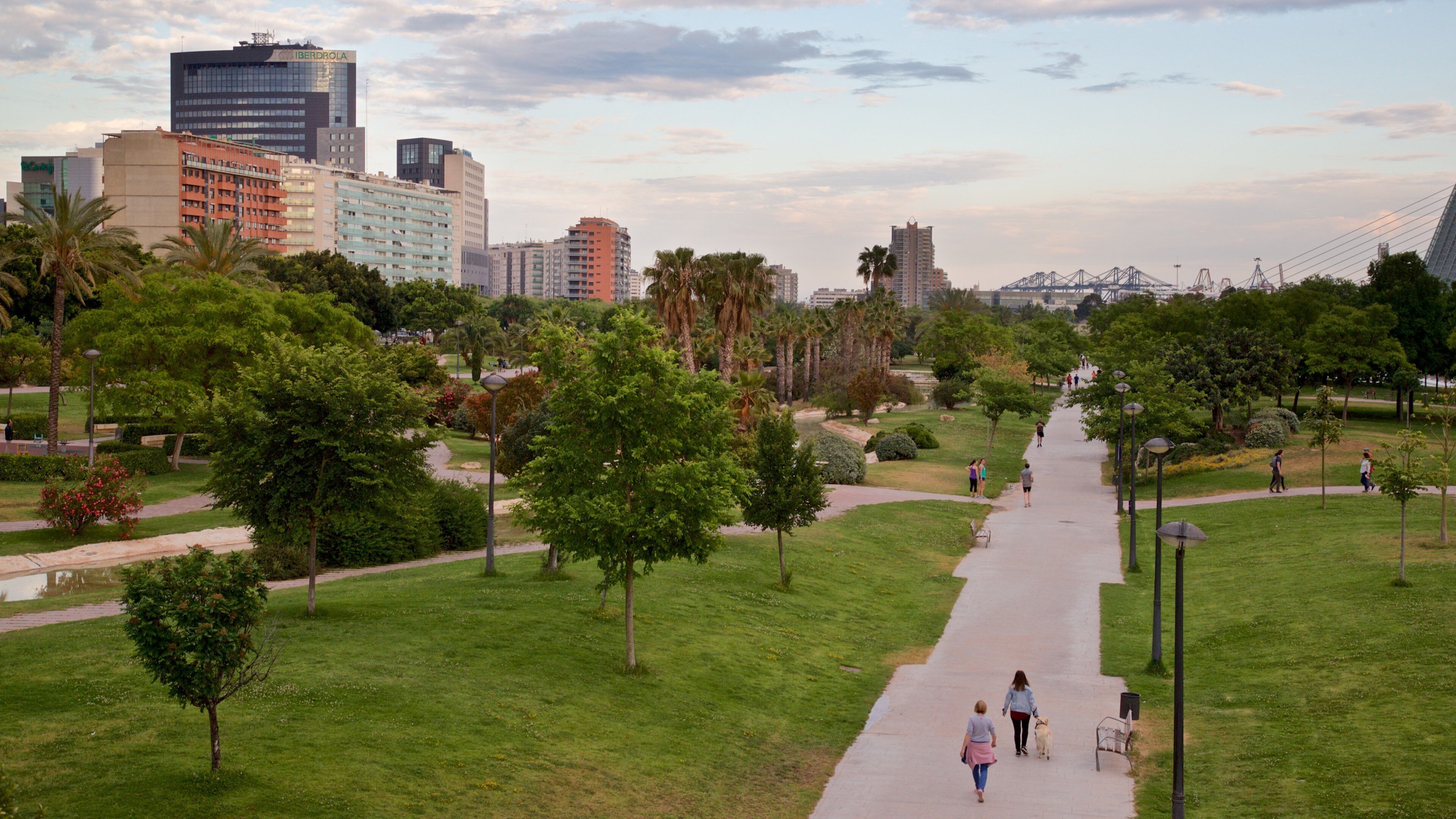 Camins al Grau featuring a park and a sunset