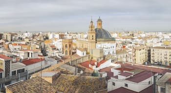 Streets of Valencia, Spain on 30.01.2019
