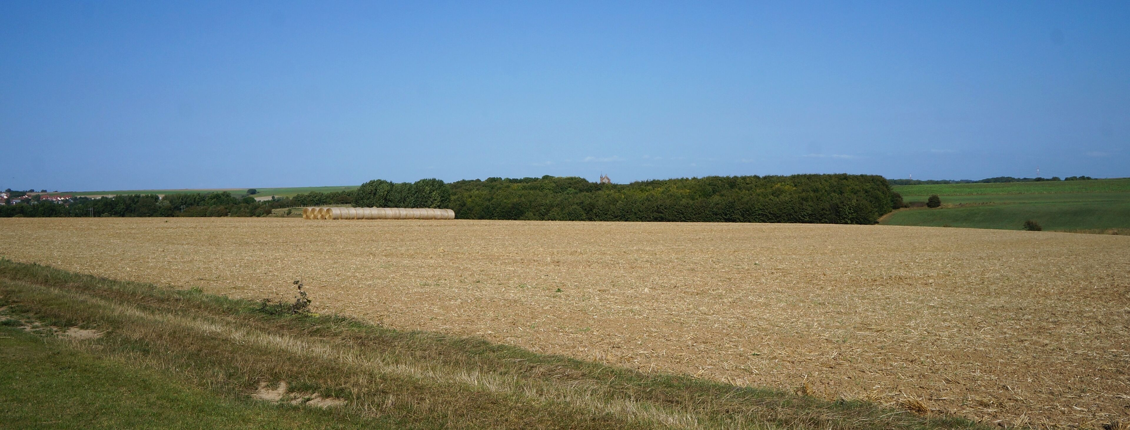 Sur le chemin du Maresquay entre Feuchy et Tilloy-lès-Mofflaines, Pas-de-Calais .- Nord-Pas-de-Calais-Picardie]] Pas-de-Calais .- Nord-Pas-de-Calais-Picardie