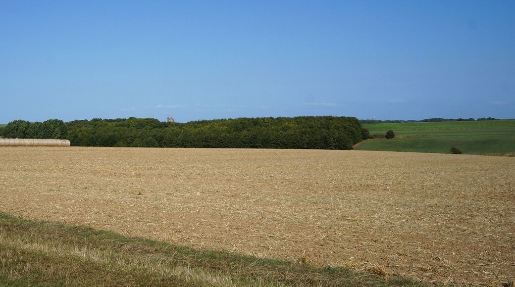 Tilloy-les-Mofflaines