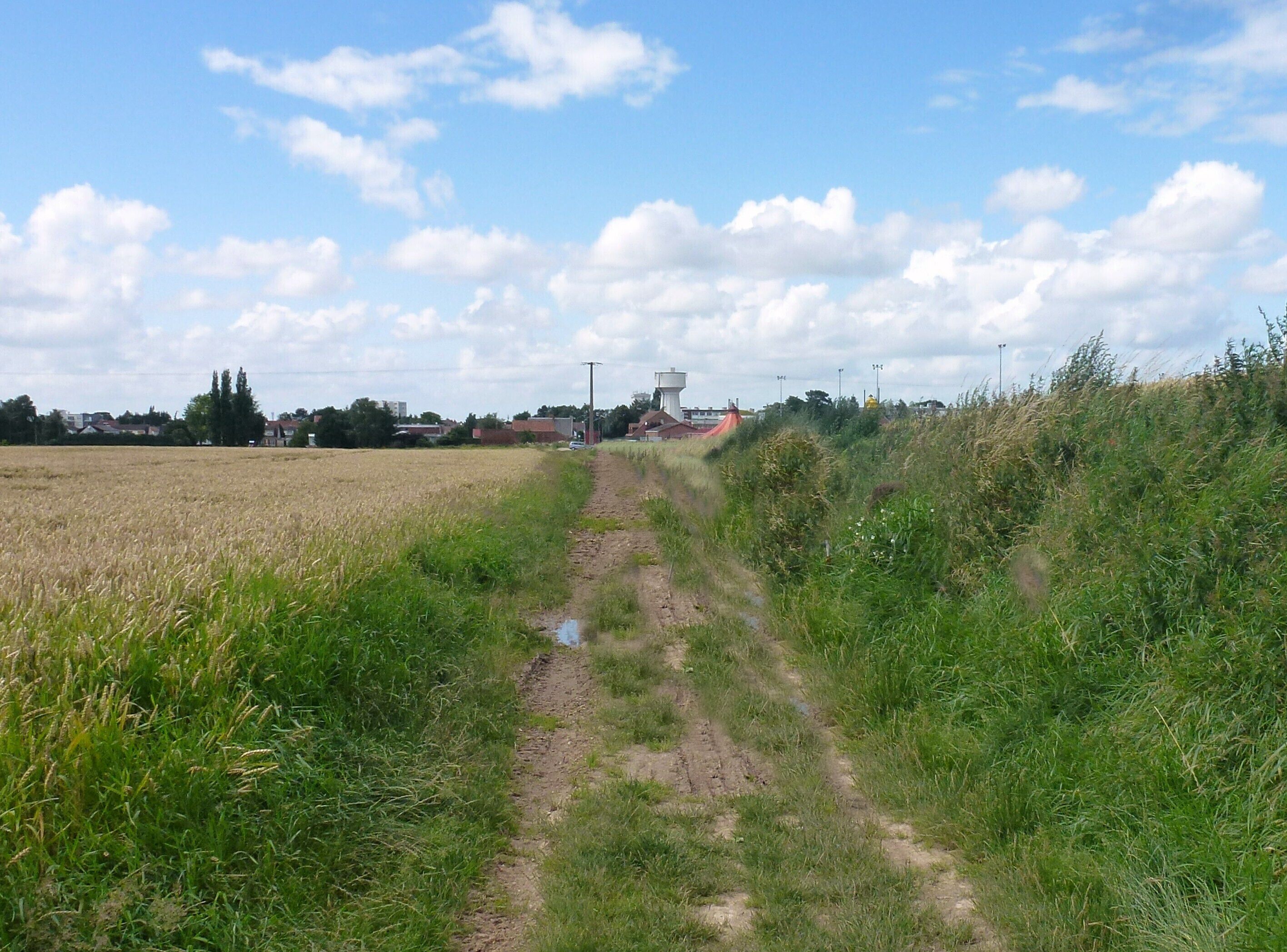 Le chemin de la Crête Picarde Neuville Vitasse Pas-de-Calais.- Hauts-de-France.