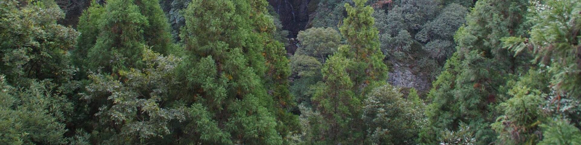 千綿渓 龍頭泉 霧降りの滝
