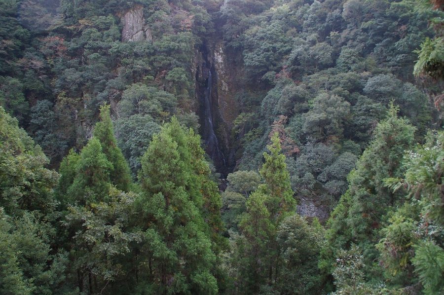 千綿渓 龍頭泉 霧降りの滝