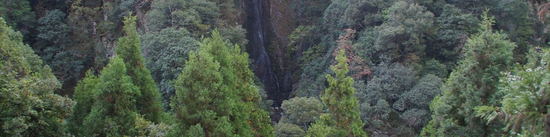 ćç¶żæžăéŸé æłăé§éăăźæ»