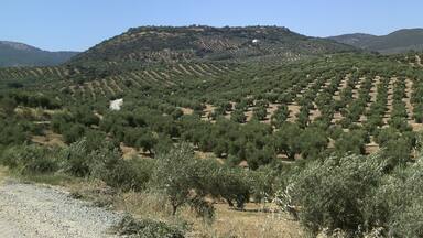 Vista del oppidum de Cabeza Baja de Encina Hermosa.