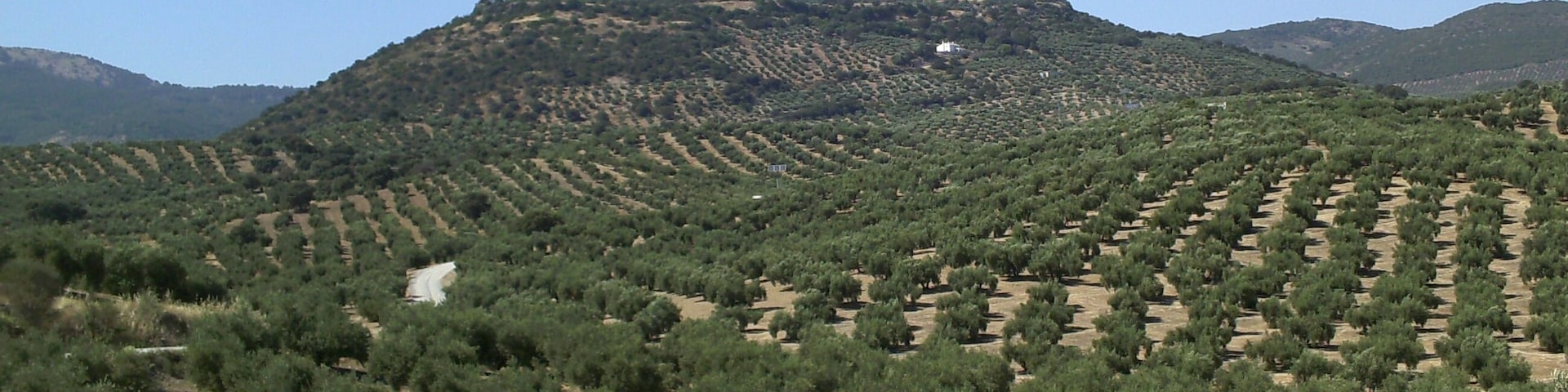 Vista del oppidum de Cabeza Baja de Encina Hermosa.