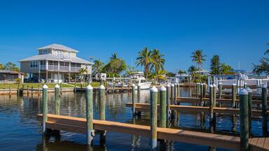 Saint James City showing a bay or harbor