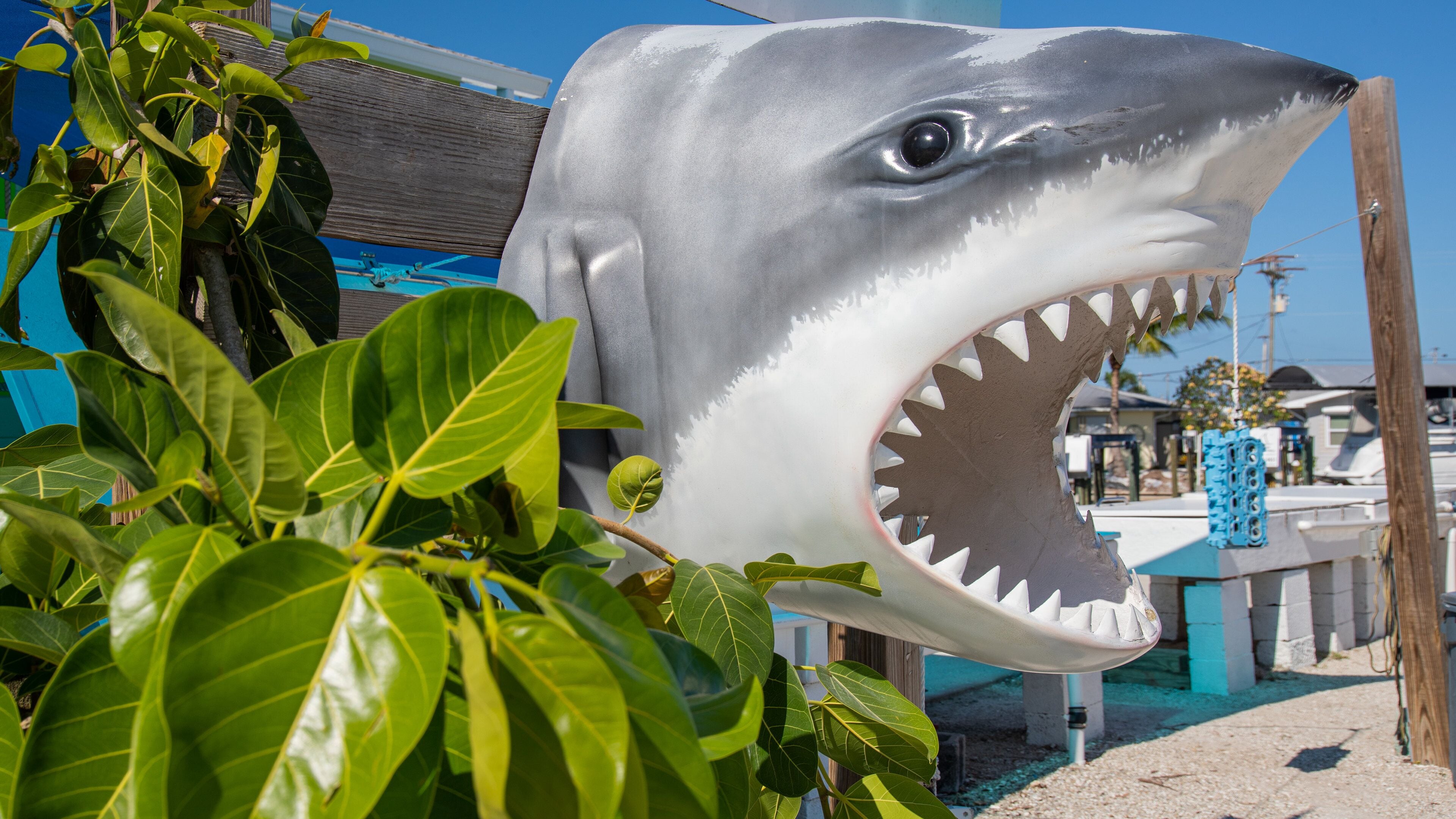 Saint James City which includes outdoor art