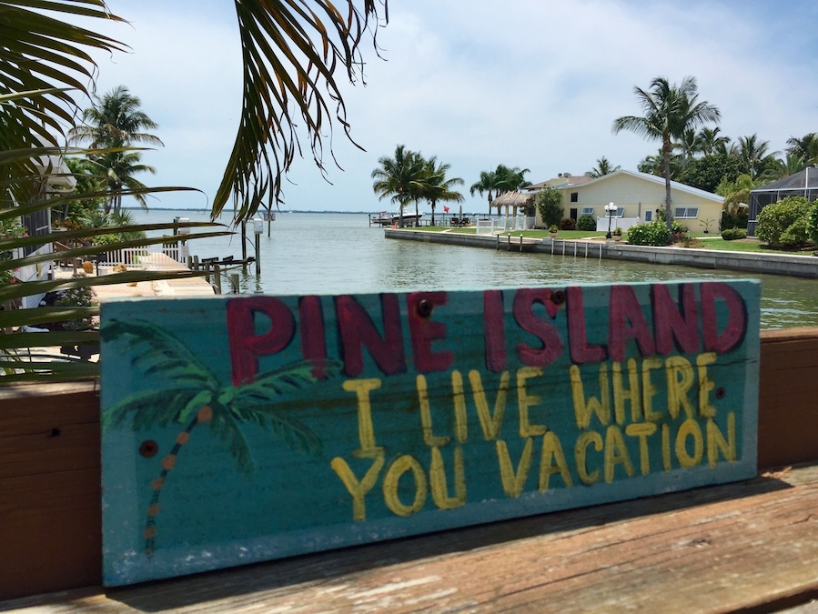 Great view and delicious grouper at the Waterfront Restaurant!