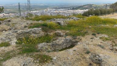 Necrópolis visigoda en el Cerro Miguelico, Torredelcampo.