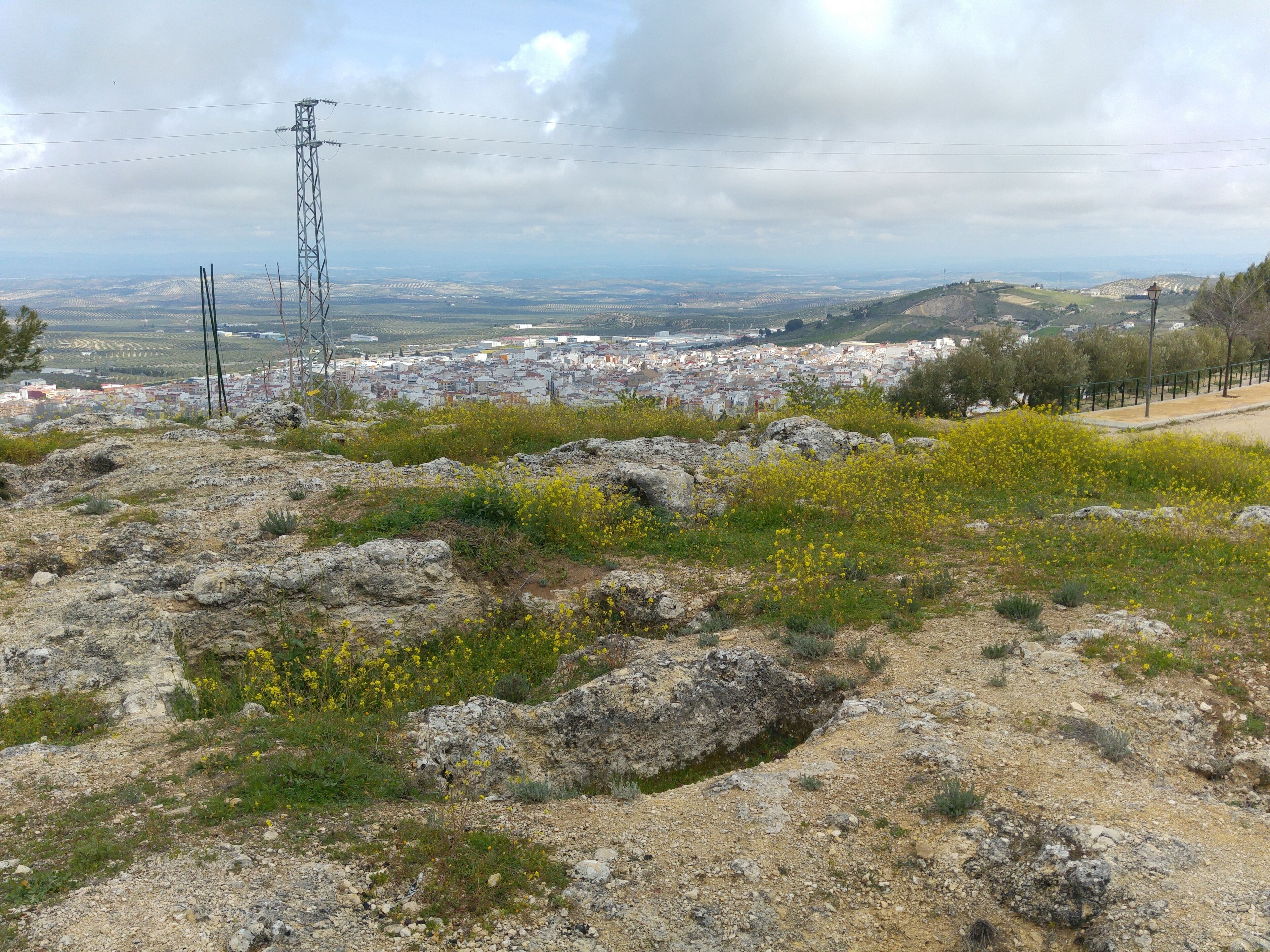 A rocky terrain with yellow flowers and a distant view of a cityscape under a cloudy sky.