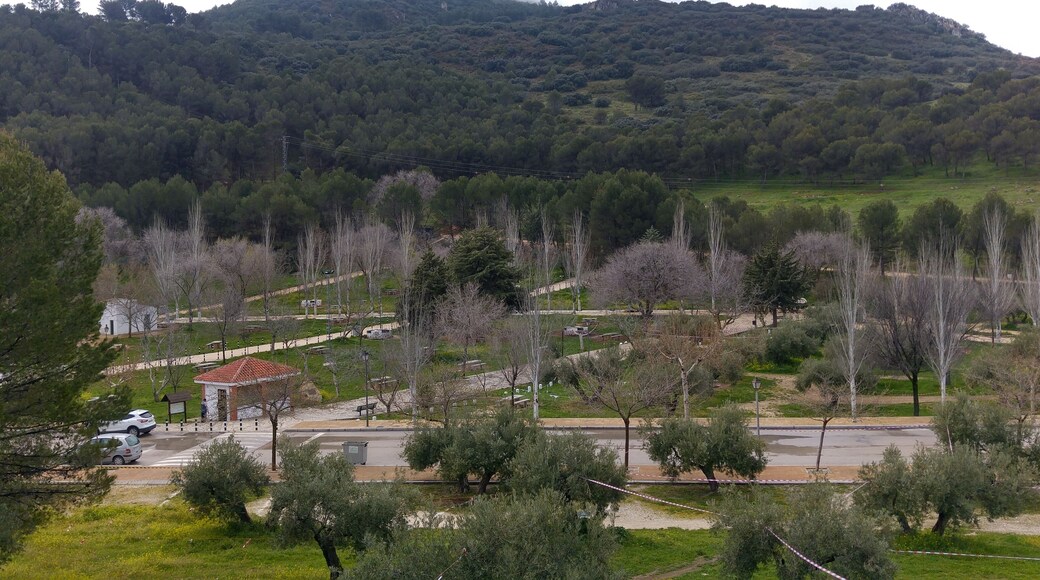 Cerro Miguelico, Torredelcampo.