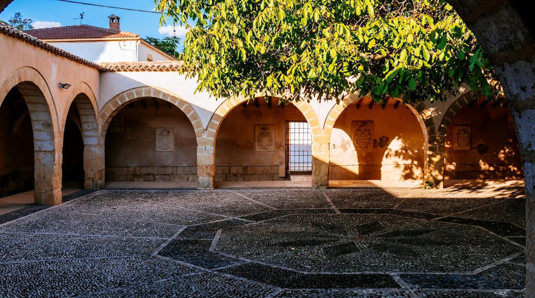 Un patio con arcos de piedra, suelo de baldosas y un árbol que da sombra.