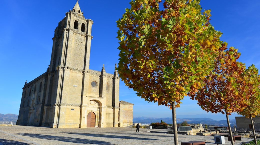 Una iglesia histórica con un campanario, rodeada por una plaza adoquinada y follaje otoñal.