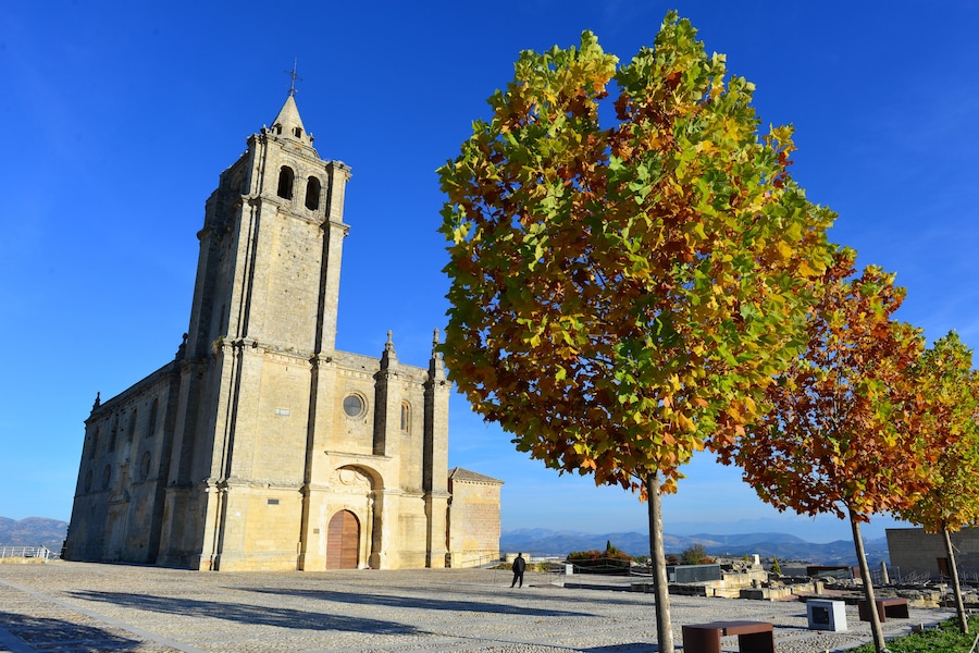 A historic church with a bell tower, surrounded by a cobblestone plaza and autumn foliage.
