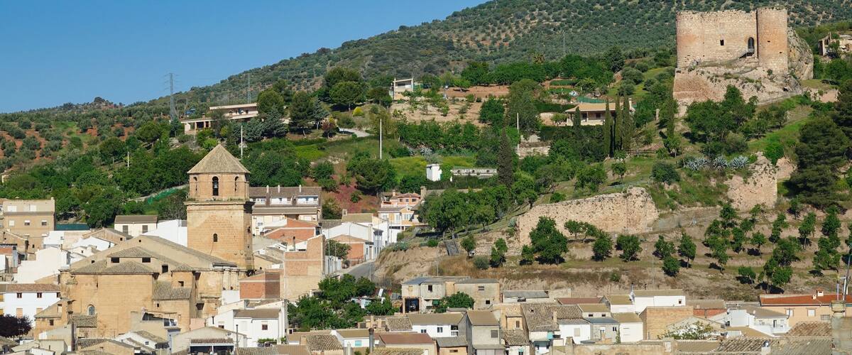 A town with historic buildings and a prominent castle on a hill.