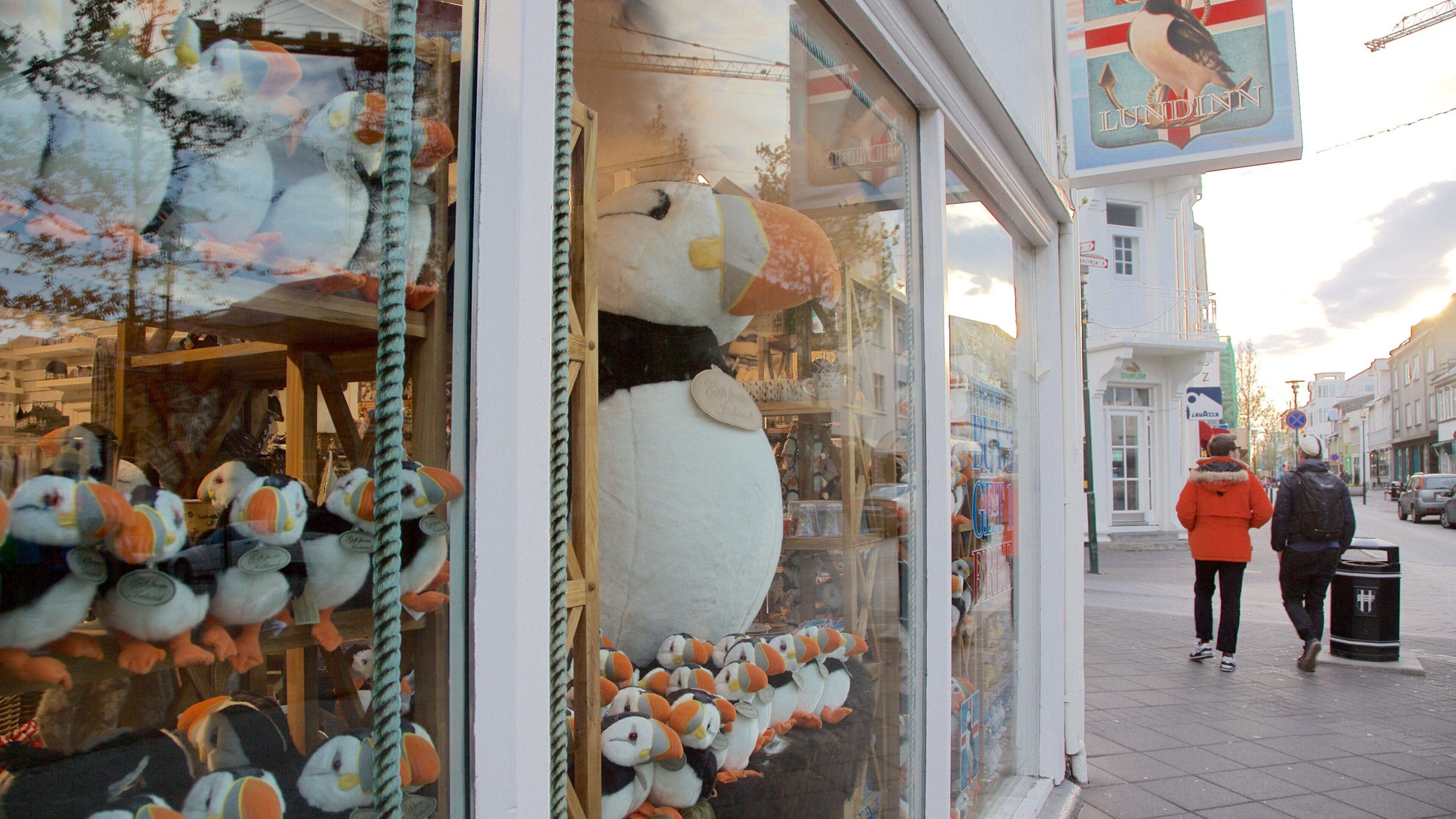 Reykjavik showing shopping