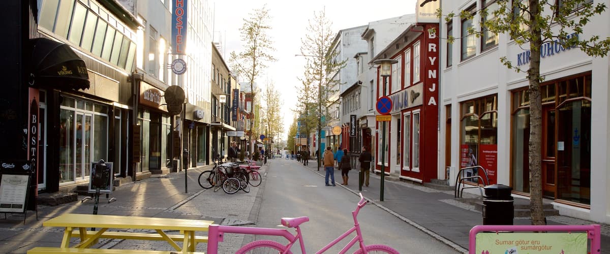 Reykjavik showing street scenes