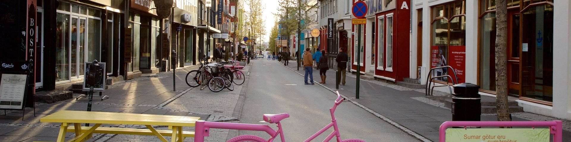 Reykjavik showing street scenes