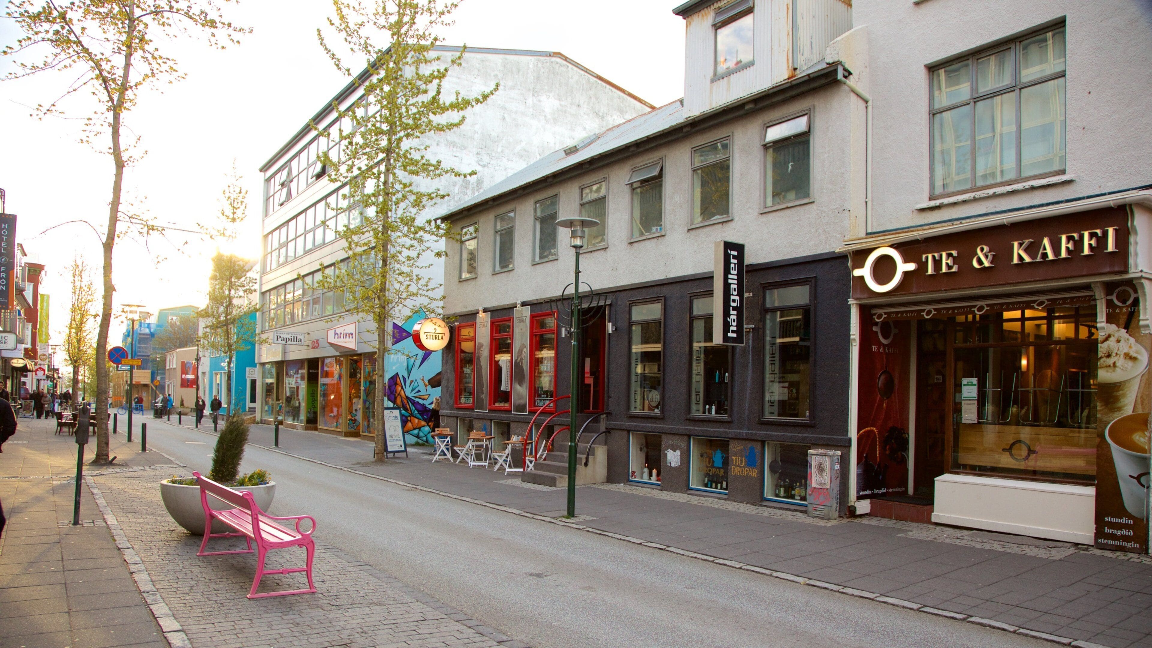 Reykjavik featuring street scenes