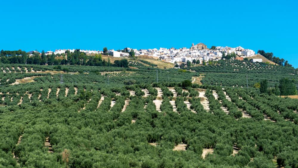 Villacarrillo, Villanueva