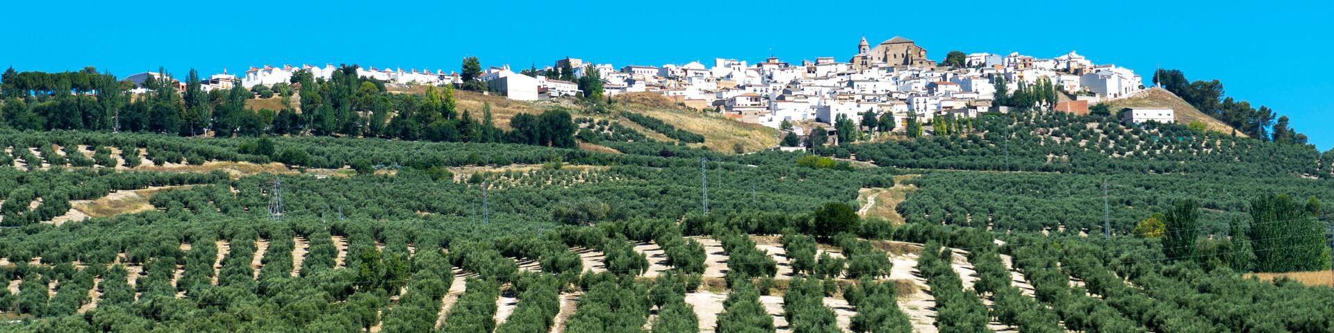 Villacarrillo, Villanueva