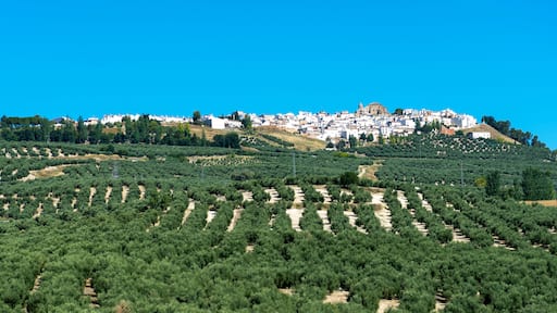 Villacarrillo, Villanueva