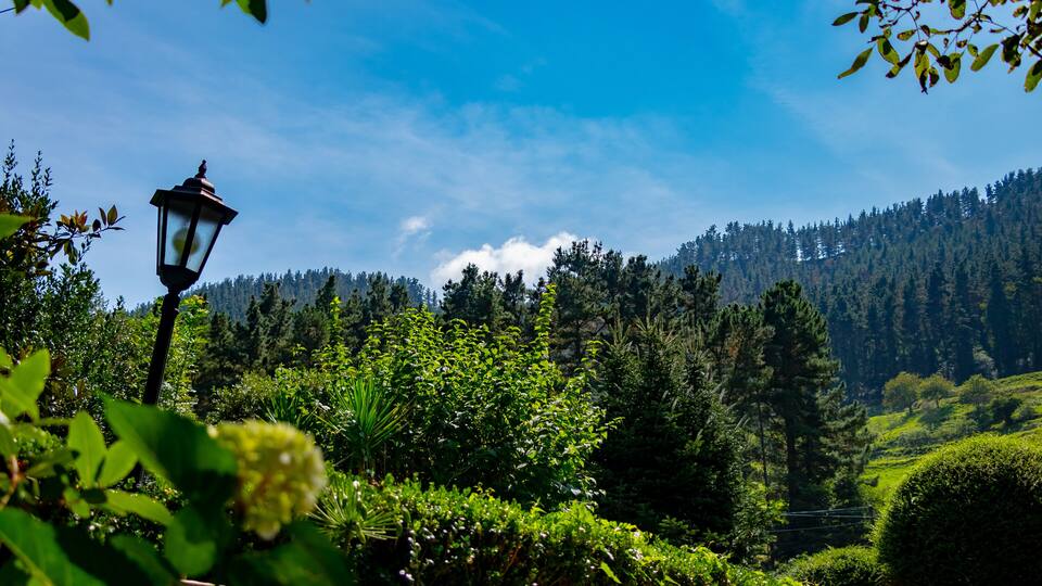 A lush green landscape with a street lamp, dense forest, and a clear blue sky.