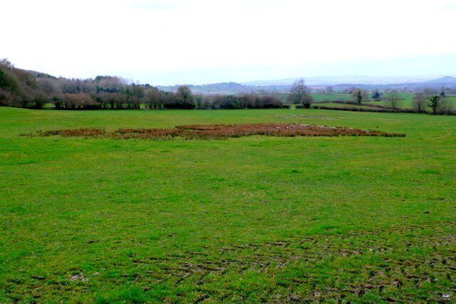 Countryside near Warren Hill View north west towards Chillington from the road that runs from Warren Hill to Dinnington