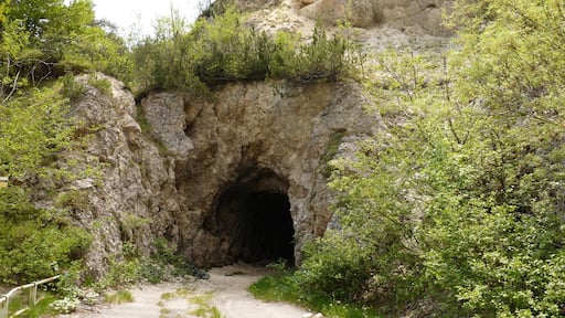 Centa San Nicolò (Italy): the old tunnel at Valico della Fricca (next to the new one), now in disuse.