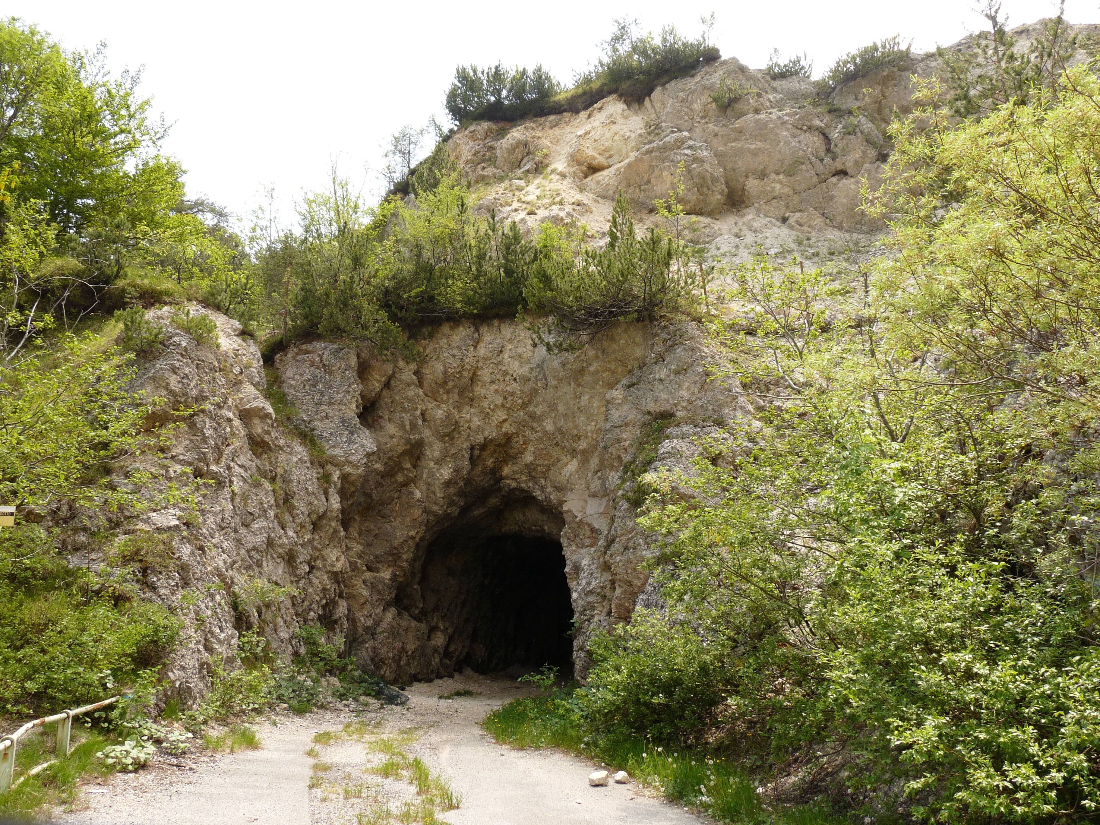 A rocky cave entrance surrounded by greenery.